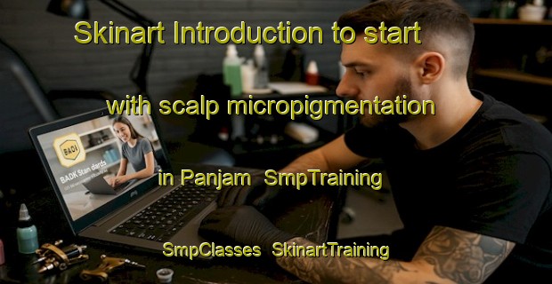Skinart Introduction to start with scalp micropigmentation in Panjam | SmpTraining | SmpClasses | SkinartTraining-Pakistan