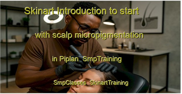 Skinart Introduction to start with scalp micropigmentation in Piplan | SmpTraining | SmpClasses | SkinartTraining-Pakistan