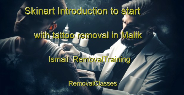 Skinart Introduction to start with tattoo removal in Malik Ismail | RemovalTraining | RemovalClasses | SkinartTraining-Pakistan