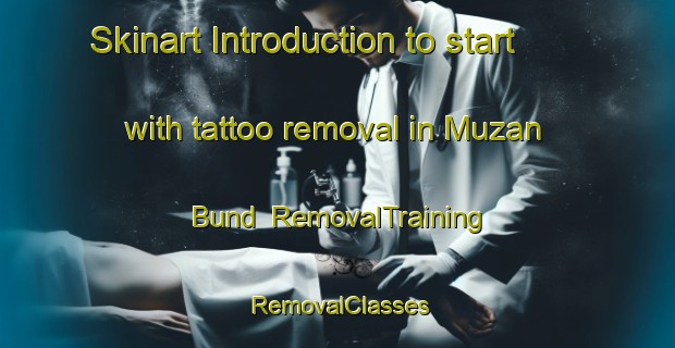 Skinart Introduction to start with tattoo removal in Muzan Bund | RemovalTraining | RemovalClasses | SkinartTraining-Pakistan