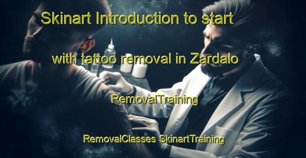 Skinart Introduction to start with tattoo removal in Zardalo | #RemovalTraining #RemovalClasses #SkinartTraining-Pakistan