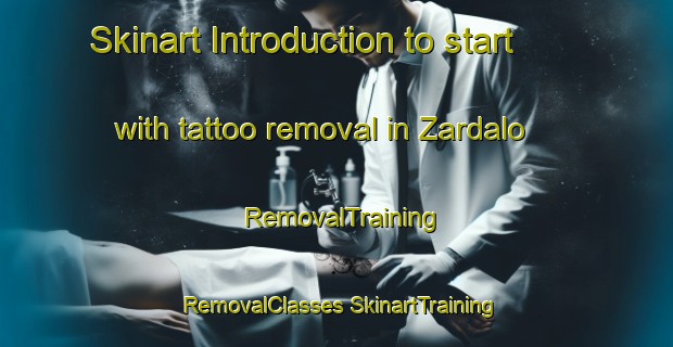 Skinart Introduction to start with tattoo removal in Zardalo | #RemovalTraining #RemovalClasses #SkinartTraining-Pakistan