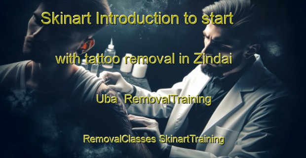 Skinart Introduction to start with tattoo removal in Zindai Uba | #RemovalTraining #RemovalClasses #SkinartTraining-Pakistan