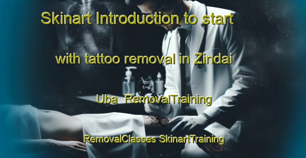 Skinart Introduction to start with tattoo removal in Zindai Uba | #RemovalTraining #RemovalClasses #SkinartTraining-Pakistan