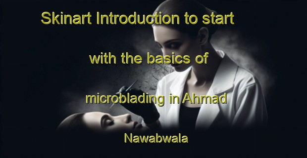 Skinart Introduction to start with the basics of microblading in Ahmad Nawabwala | MicrobladingTraining | MicrobladingClasses | SkinartTraining-Pakistan