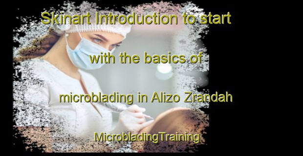 Skinart Introduction to start with the basics of microblading in Alizo Zrandah | MicrobladingTraining | MicrobladingClasses | SkinartTraining-Pakistan