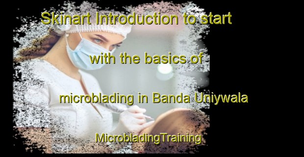 Skinart Introduction to start with the basics of microblading in Banda Uniywala | MicrobladingTraining | MicrobladingClasses | SkinartTraining-Pakistan