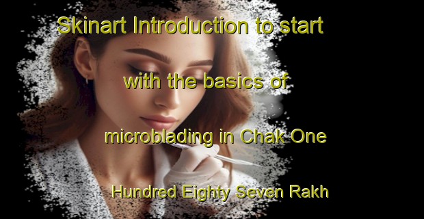 Skinart Introduction to start with the basics of microblading in Chak One Hundred Eighty Seven Rakh Branch | MicrobladingTraining | MicrobladingClasses | SkinartTraining-Pakistan