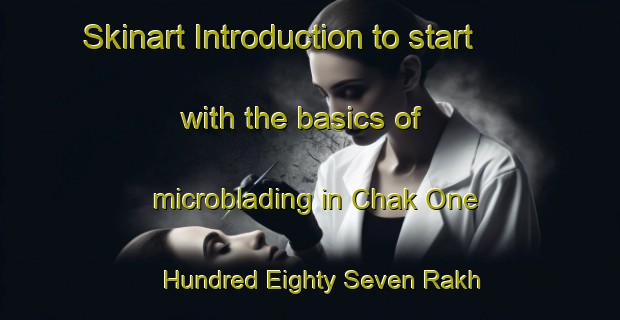 Skinart Introduction to start with the basics of microblading in Chak One Hundred Eighty Seven Rakh Branch | MicrobladingTraining | MicrobladingClasses | SkinartTraining-Pakistan