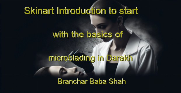 Skinart Introduction to start with the basics of microblading in Darakh Branchar Baba Shah | MicrobladingTraining | MicrobladingClasses | SkinartTraining-Pakistan
