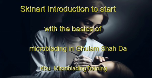 Skinart Introduction to start with the basics of microblading in Ghulam Shah Da Khu | MicrobladingTraining | MicrobladingClasses | SkinartTraining-Pakistan