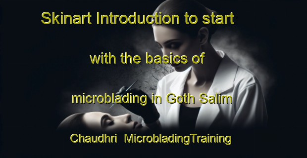 Skinart Introduction to start with the basics of microblading in Goth Salim Chaudhri | MicrobladingTraining | MicrobladingClasses | SkinartTraining-Pakistan