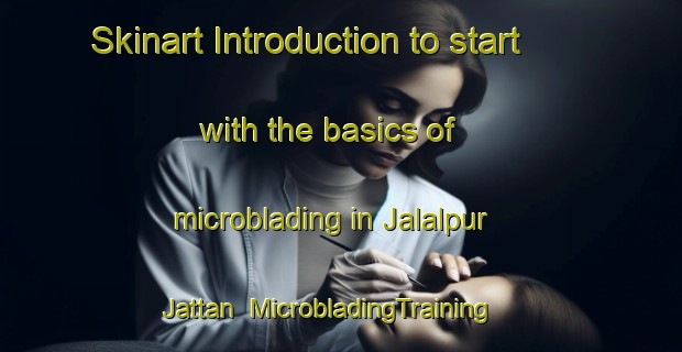 Skinart Introduction to start with the basics of microblading in Jalalpur Jattan | MicrobladingTraining | MicrobladingClasses | SkinartTraining-Pakistan