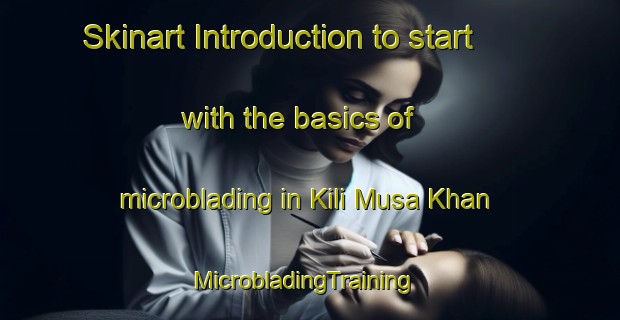 Skinart Introduction to start with the basics of microblading in Kili Musa Khan | MicrobladingTraining | MicrobladingClasses | SkinartTraining-Pakistan