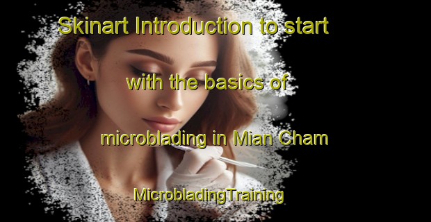 Skinart Introduction to start with the basics of microblading in Mian Cham | MicrobladingTraining | MicrobladingClasses | SkinartTraining-Pakistan