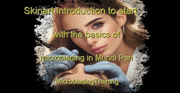 Skinart Introduction to start with the basics of microblading in Mundi Pari | MicrobladingTraining | MicrobladingClasses | SkinartTraining-Pakistan