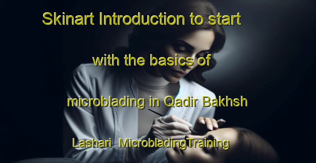 Skinart Introduction to start with the basics of microblading in Qadir Bakhsh Lashari | MicrobladingTraining | MicrobladingClasses | SkinartTraining-Pakistan