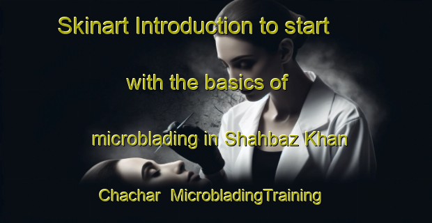 Skinart Introduction to start with the basics of microblading in Shahbaz Khan Chachar | MicrobladingTraining | MicrobladingClasses | SkinartTraining-Pakistan