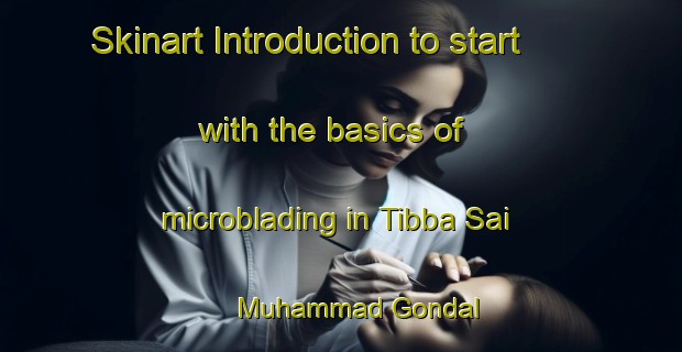 Skinart Introduction to start with the basics of microblading in Tibba Sai Muhammad Gondal | MicrobladingTraining | MicrobladingClasses | SkinartTraining-Pakistan