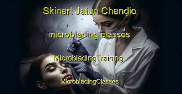 Skinart Jatun Chandio microblading classes | MicrobladingTraining | MicrobladingClasses | SkinartTraining-Pakistan