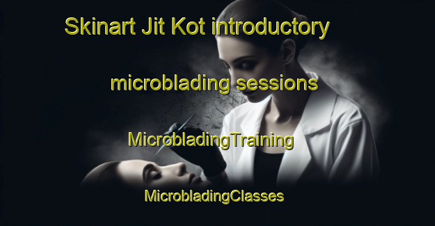 Skinart Jit Kot introductory microblading sessions | MicrobladingTraining | MicrobladingClasses | SkinartTraining-Pakistan