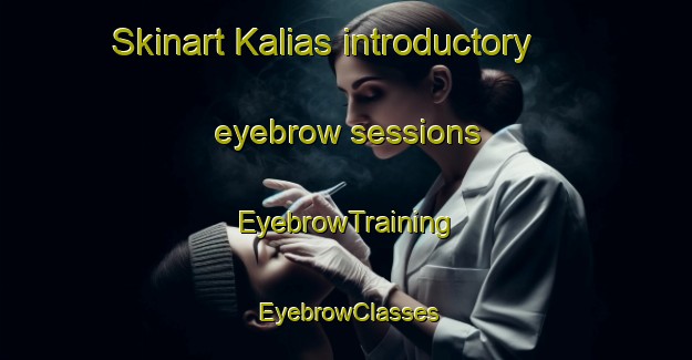 Skinart Kalias introductory eyebrow sessions | EyebrowTraining | EyebrowClasses | SkinartTraining-Pakistan