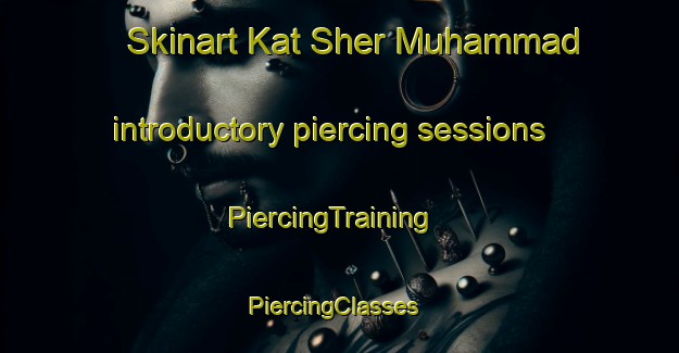 Skinart Kat Sher Muhammad introductory piercing sessions | PiercingTraining | PiercingClasses | SkinartTraining-Pakistan