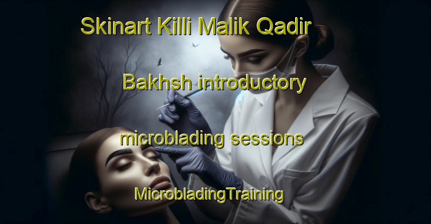 Skinart Killi Malik Qadir Bakhsh introductory microblading sessions | MicrobladingTraining | MicrobladingClasses | SkinartTraining-Pakistan