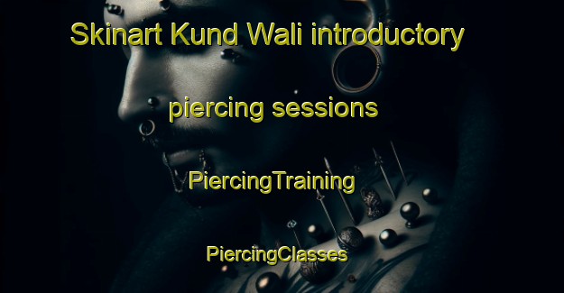 Skinart Kund Wali introductory piercing sessions | PiercingTraining | PiercingClasses | SkinartTraining-Pakistan