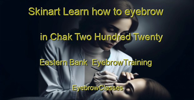 Skinart Learn how to eyebrow in Chak Two Hundred Twenty Eastern Bank | EyebrowTraining | EyebrowClasses | SkinartTraining-Pakistan