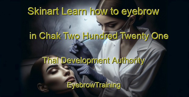 Skinart Learn how to eyebrow in Chak Two Hundred Twenty One Thal Development Authority | EyebrowTraining | EyebrowClasses | SkinartTraining-Pakistan