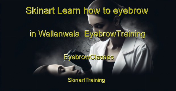 Skinart Learn how to eyebrow in Wallanwala | EyebrowTraining | EyebrowClasses | SkinartTraining-Pakistan