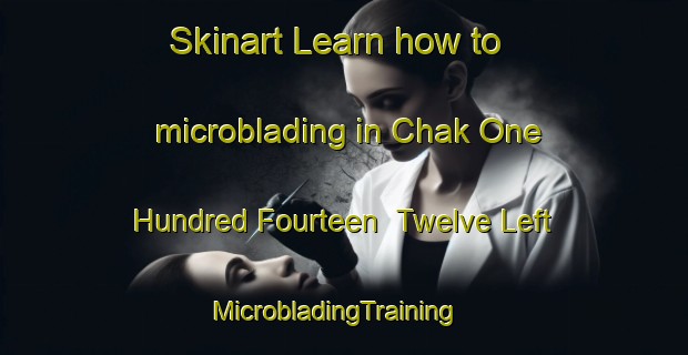 Skinart Learn how to microblading in Chak One Hundred Fourteen  Twelve Left | MicrobladingTraining | MicrobladingClasses | SkinartTraining-Pakistan