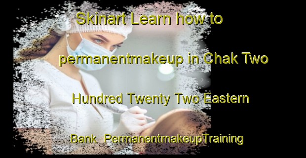 Skinart Learn how to permanentmakeup in Chak Two Hundred Twenty Two Eastern Bank | PermanentmakeupTraining | PermanentmakeupClasses | SkinartTraining-Pakistan
