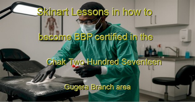 Skinart Lessons in how to become BBP certified in the Chak Two Hundred Seventeen Gugera Branch area | BbpTraining | BbpClasses | SkinartTraining-Pakistan