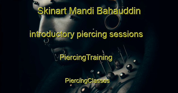 Skinart Mandi Bahauddin introductory piercing sessions | PiercingTraining | PiercingClasses | SkinartTraining-Pakistan