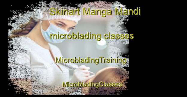 Skinart Manga Mandi microblading classes | MicrobladingTraining | MicrobladingClasses | SkinartTraining-Pakistan