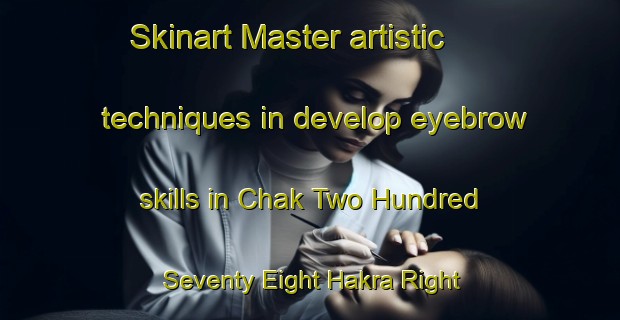 Skinart Master artistic techniques in develop eyebrow skills in Chak Two Hundred Seventy Eight Hakra Right Sharqi | EyebrowTraining | EyebrowClasses | SkinartTraining-Pakistan