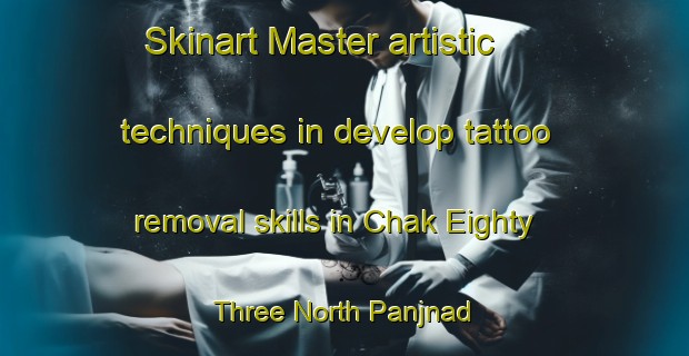 Skinart Master artistic techniques in develop tattoo removal skills in Chak Eighty Three North Panjnad | RemovalTraining | RemovalClasses | SkinartTraining-Pakistan