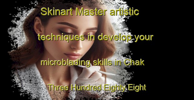 Skinart Master artistic techniques in develop your microblading skills in Chak Three Hundred Eighty Eight Gugera Branch | MicrobladingTraining | MicrobladingClasses | SkinartTraining-Pakistan