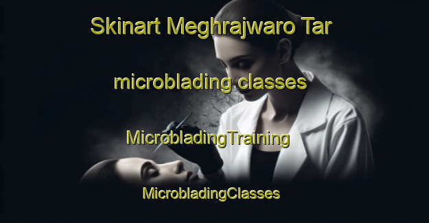 Skinart Meghrajwaro Tar microblading classes | MicrobladingTraining | MicrobladingClasses | SkinartTraining-Pakistan