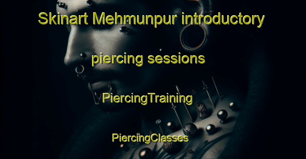 Skinart Mehmunpur introductory piercing sessions | PiercingTraining | PiercingClasses | SkinartTraining-Pakistan