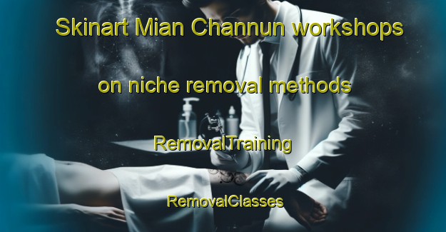 Skinart Mian Channun workshops on niche removal methods | RemovalTraining | RemovalClasses | SkinartTraining-Pakistan
