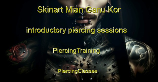 Skinart Mian Ganu Kor introductory piercing sessions | PiercingTraining | PiercingClasses | SkinartTraining-Pakistan