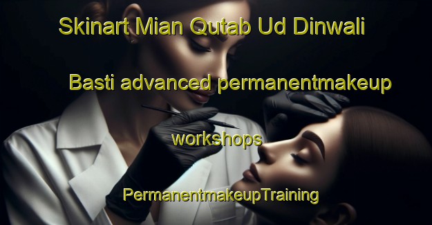 Skinart Mian Qutab Ud Dinwali Basti advanced permanentmakeup workshops | PermanentmakeupTraining | PermanentmakeupClasses | SkinartTraining-Pakistan