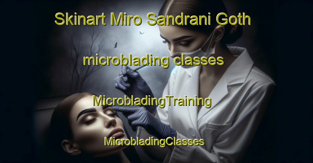 Skinart Miro Sandrani Goth microblading classes | MicrobladingTraining | MicrobladingClasses | SkinartTraining-Pakistan
