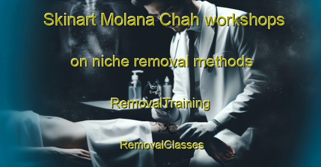 Skinart Molana Chah workshops on niche removal methods | RemovalTraining | RemovalClasses | SkinartTraining-Pakistan