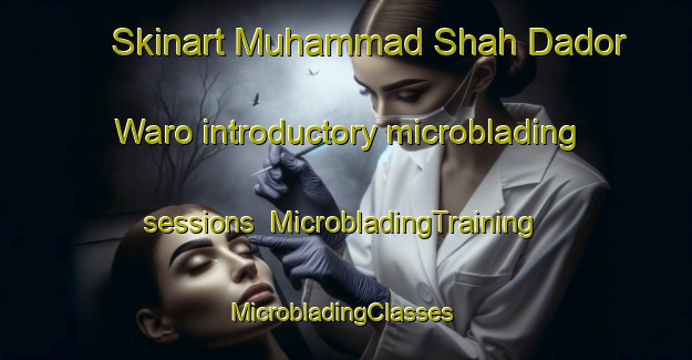 Skinart Muhammad Shah Dador Waro introductory microblading sessions | MicrobladingTraining | MicrobladingClasses | SkinartTraining-Pakistan