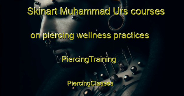 Skinart Muhammad Urs courses on piercing wellness practices | PiercingTraining | PiercingClasses | SkinartTraining-Pakistan