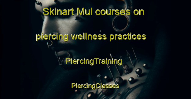 Skinart Mul courses on piercing wellness practices | #PiercingTraining #PiercingClasses #SkinartTraining-Pakistan